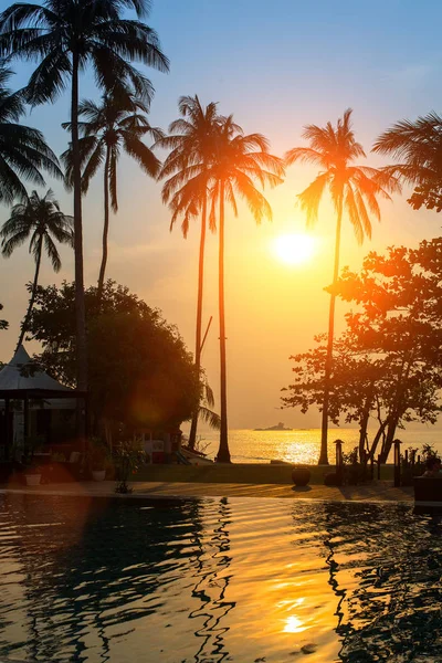 Silhouetten van palmbomen op een tropisch strand — Stockfoto