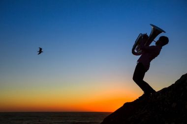 Silhouette of musician play tuba clipart