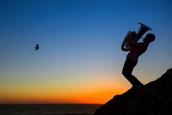 Silhouet van musicus Speel tuba — Stockfoto