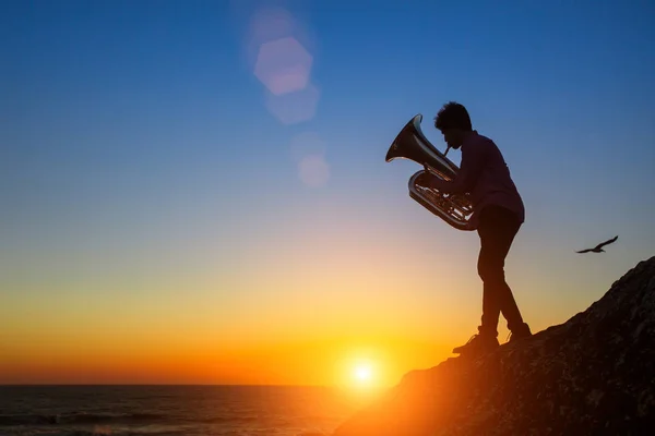 Silhouette de l'homme jouer tuba — Photo