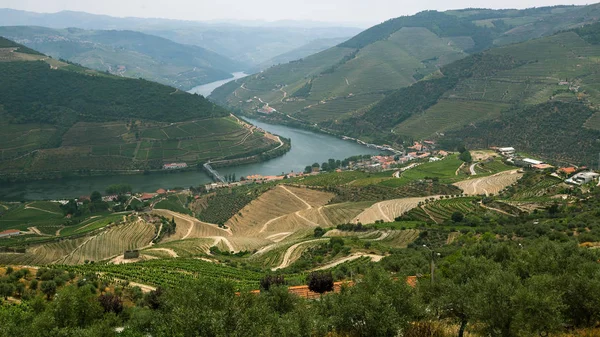Collines de la vallée du Douro — Photo