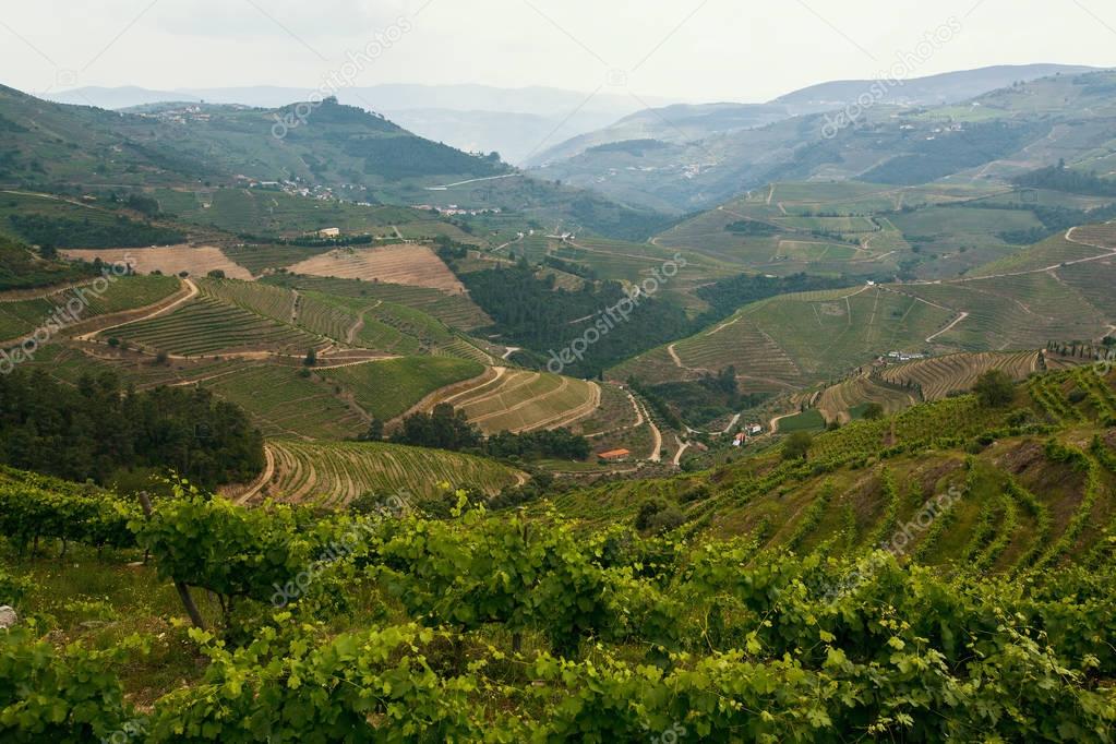 View of Douro Valley