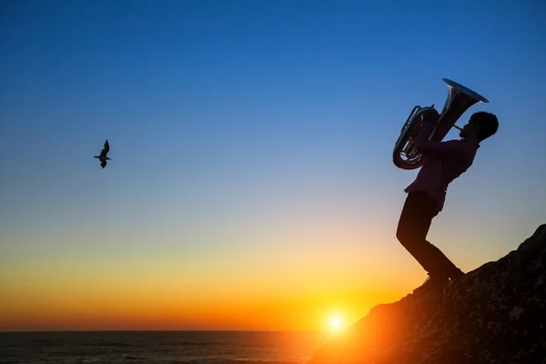 Silhouet van musicus Speel tuba — Stockfoto