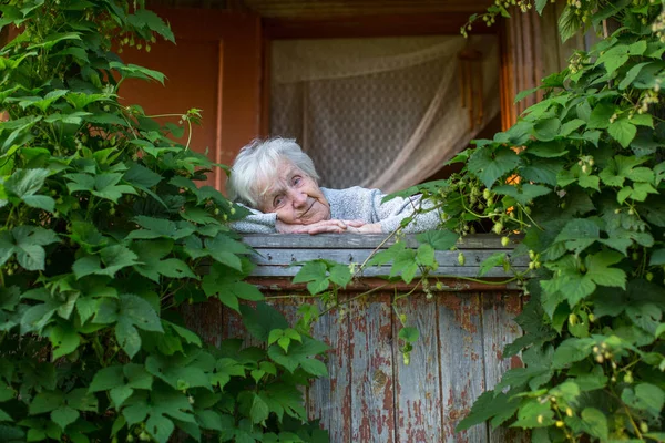 Granny on the green veranda — Stock Photo, Image