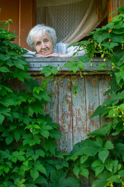 女人坐在一个绿色的露台上 — 图库照片