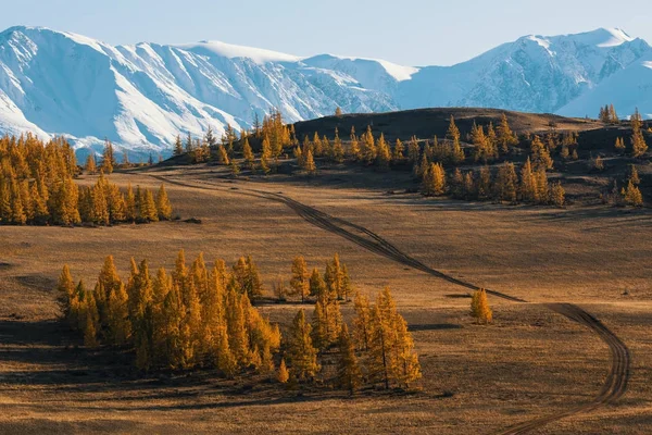 Vallée et montagne de neige — Photo