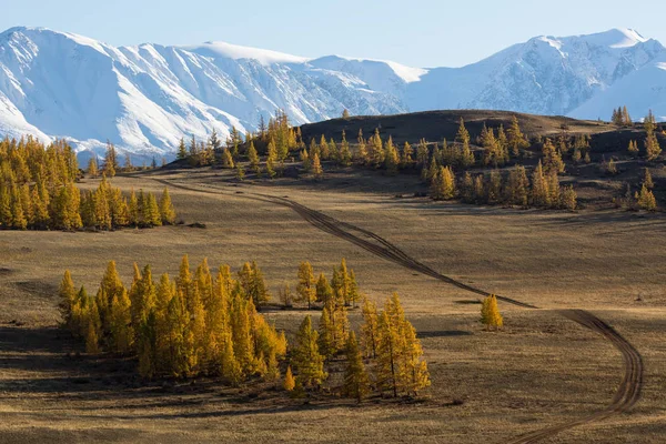 Altai montanhas, Chuya cume — Fotografia de Stock