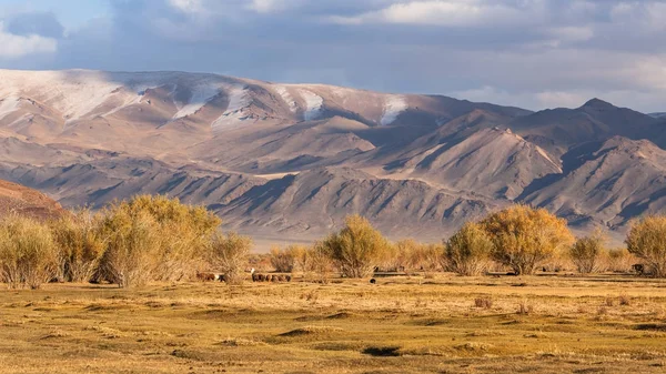 Montagnes en Mongolie occidentale — Photo