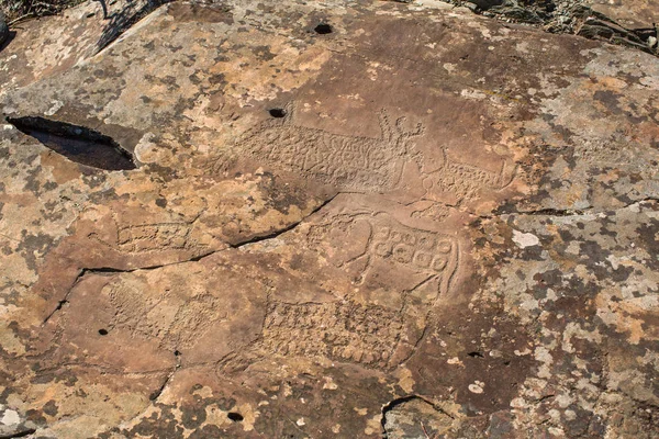 Ancient rock paintings — Stock Photo, Image