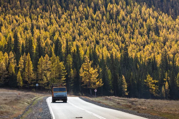 Caminhão e floresta de outono amarelo — Fotografia de Stock