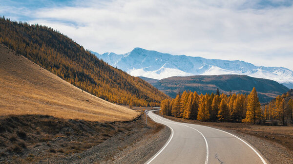 Chuya Highway and yellow autumn forest 