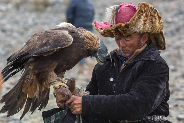 Kazak kartal avcı — Stok fotoğraf