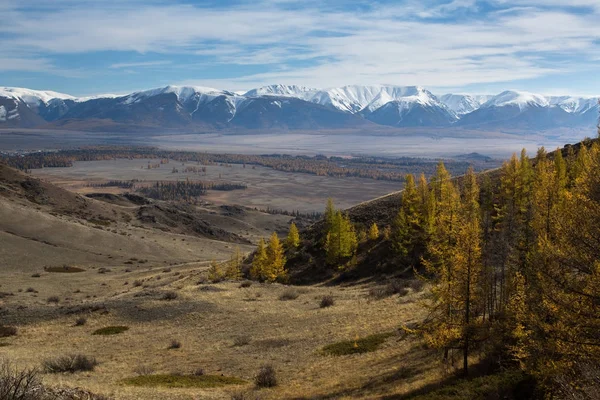 Hösten skogen på berget norr-Chuya — Stockfoto