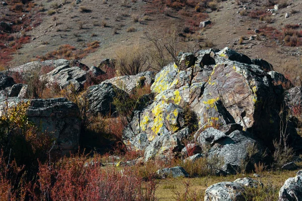 Paesaggi delle montagne di Altai , — Foto Stock