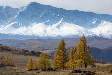 dağ Kuzey-Chuya ridge Altay Cumhuriyeti