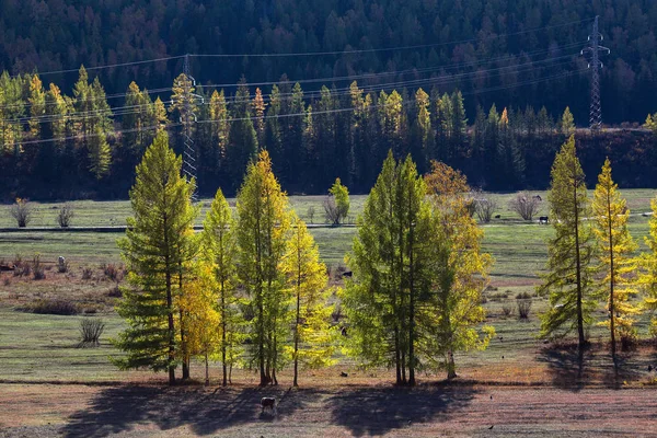 Paysages des montagnes Altay — Photo