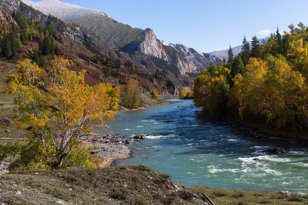 Rio nas montanhas de Altai — Fotografia de Stock
