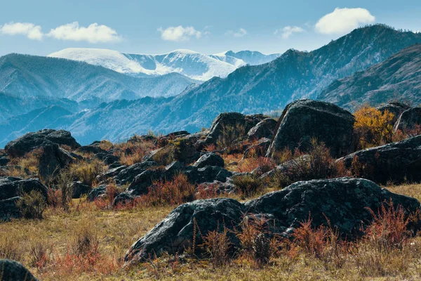 Landskab i Altai-bjergene - Stock-foto