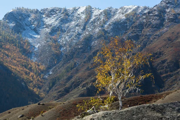 Landscapes of Altai mountains — Stock Photo, Image