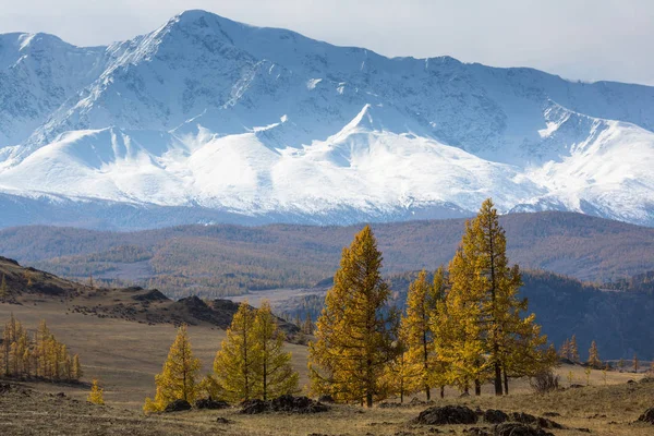 Góry Marubashi North ridge z Ałtaju — Zdjęcie stockowe