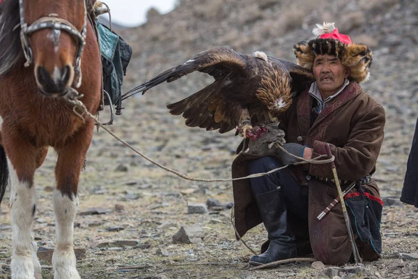 Казахська орел мисливець — стокове фото