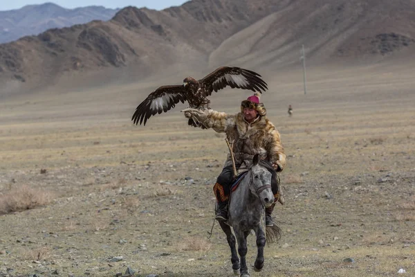 Казахский охотник на орлов — стоковое фото