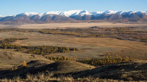 Snowy ridges of the Altai mountains — Stock Photo, Image