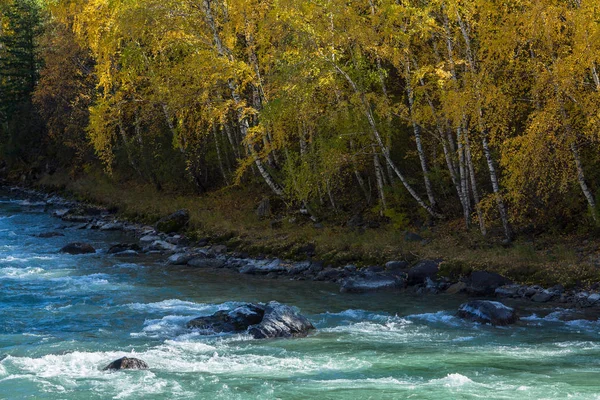 Correntes do rio Katun — Fotografia de Stock