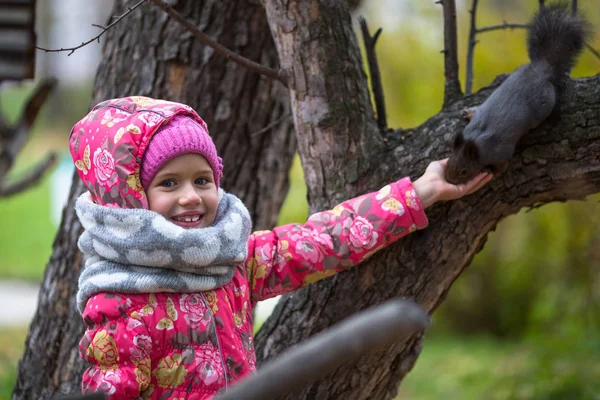 Kleines Mädchen Mit Der Hand Füttert Ein Eichhörnchen Park — Stockfoto