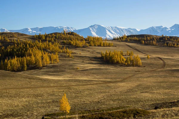 Estepa Kurai en la República de Altai — Foto de Stock