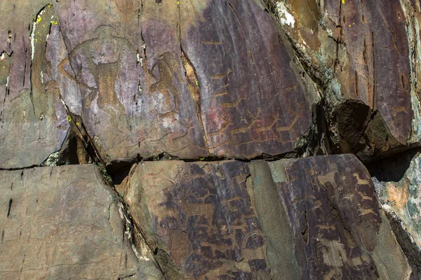 Petroglyphs of the tract Kalbak-Tash — Stock Photo, Image