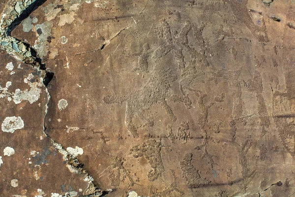 Peintures rupestres anciennes — Photo