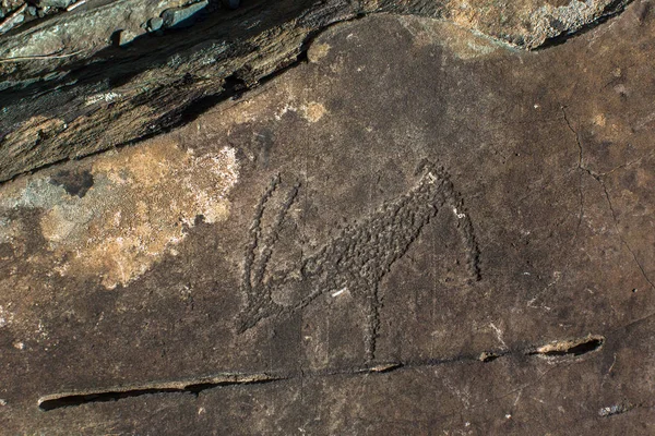 Ancient rock paintings — Stock Photo, Image