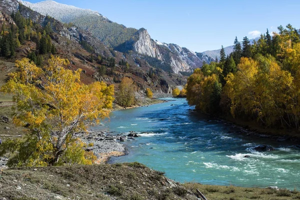 Rio Katun e floresta de outono — Fotografia de Stock