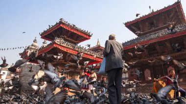 Katmandu, Nepal - Kasım, 2013 yaklaşık: Durbar kare - Kathmandu, turistler için çok popüler bir yerdir 3 Kraliyet şehirlerden biri üzerinde güvercin Flock.