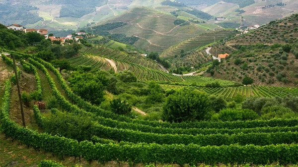 Vista superior do Vale do Douro — Fotografia de Stock
