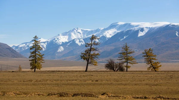 View of mountain North-Chuya ridge — Stock Photo, Image