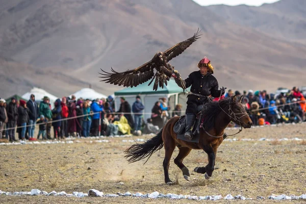 Kazak altın kartal avcı — Stok fotoğraf