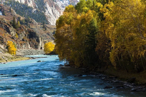 Rivière Katun Dans Les Montagnes Altaï Russie — Photo