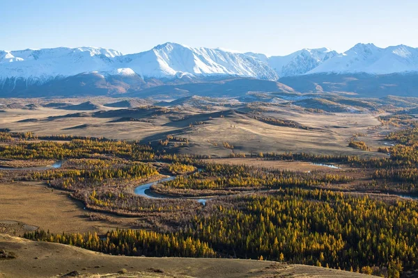 シベリア ロシアのアルタイ山脈で中也リッジのパノラマ — ストック写真