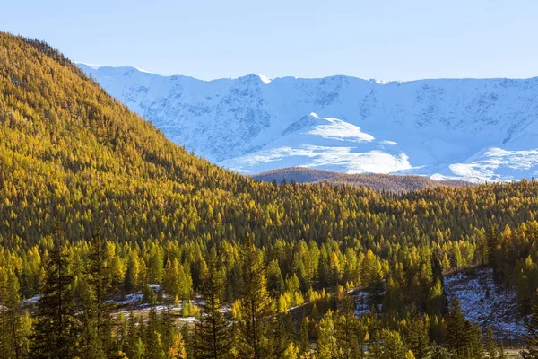 Vistas Las Montañas Nevadas Altai República Altai Rusia —  Fotos de Stock