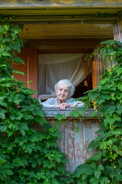 Elderly woman on a cosy veranda covered with greenery.