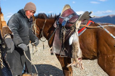 Bayan Ulgiy, Moğolistan-27 Eylül, 2017: Kazak kartal avcı ise içinde çöl Dağ Batı Moğolistan kolunda altın kartal tutan tavşan için avcılık sırtında geleneksel kıyafetleri.