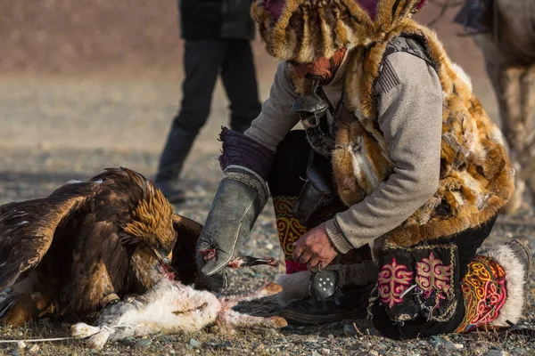 Sagsay Mongolsko Září 2017 Golden Eagle Hunter Při Lovu Zajíce — Stock fotografie