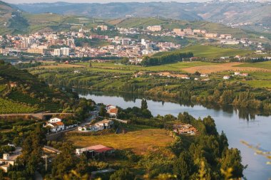 Top view of Douro river, and the vineyards are on a hills in Douro Valley, Portugal. clipart