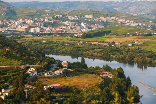 Κάτοψη Του Ποταμού Douro Και Αμπελώνες Βρίσκονται Μια Λόφους Κοιλάδα — Φωτογραφία Αρχείου