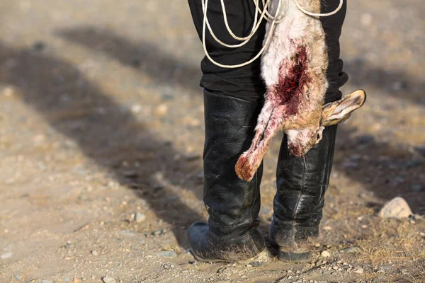 Hunter Houden Een Jacht Trofee Dood Bloedige Konijn — Stockfoto