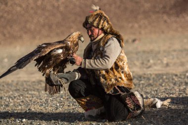 Sagsay, Moğolistan - 28 Eylül 2017: Altın Kartal avcı ise bir Altın Kartallar kollarını içinde çöl Dağ Batı Moğolistan üzerinde tutarak tavşan için avcılık.