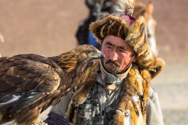 Sagsay, Moğolistan - 28 Eylül 2017: Altın Kartal Hunter geldi av kuştan aldı, onu okşadı, onu bir parça et, içinde çöl Dağ Batı Moğolistan verdi.