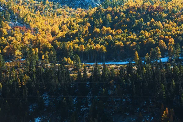 Paisajes Las Montañas Altay Otoño República Altai Rusia — Foto de Stock